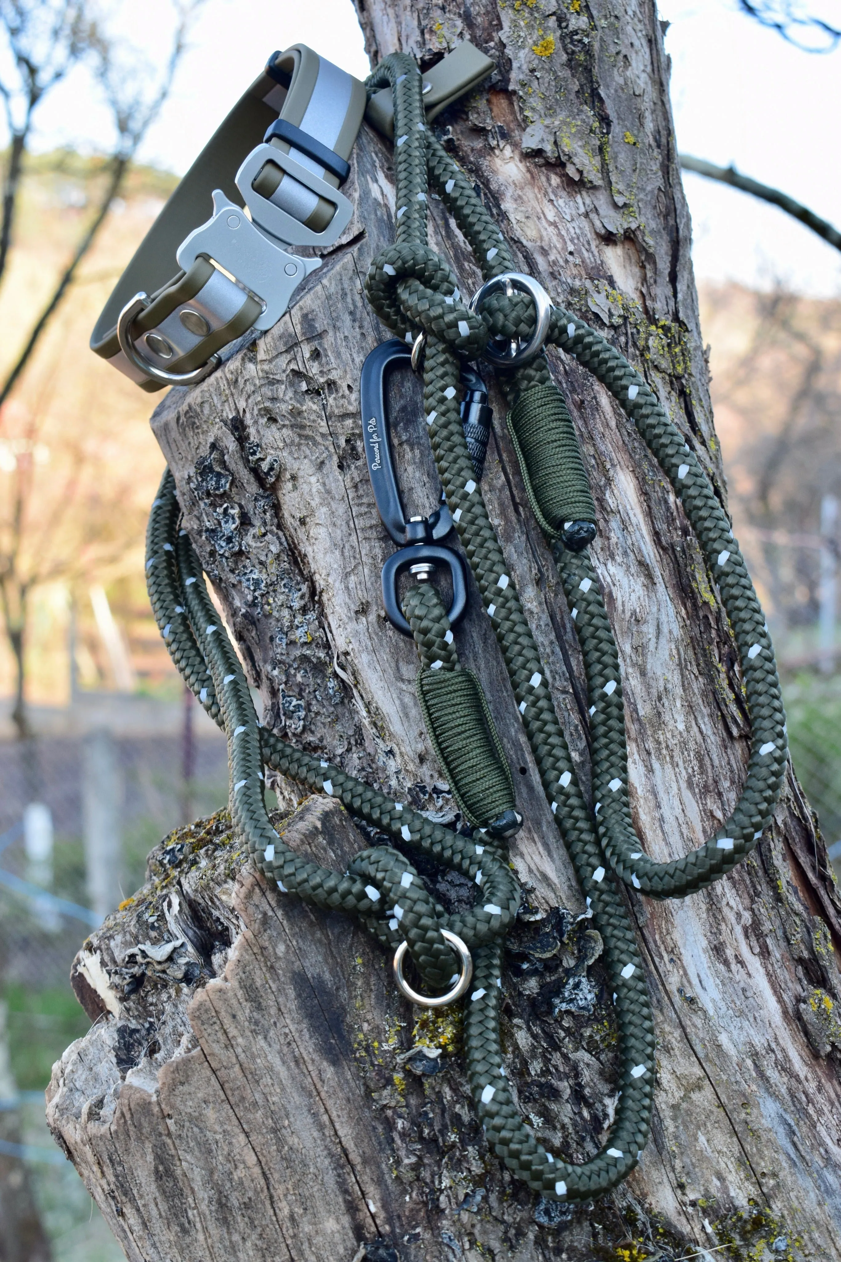 Reflective Dog Set: collar and leash