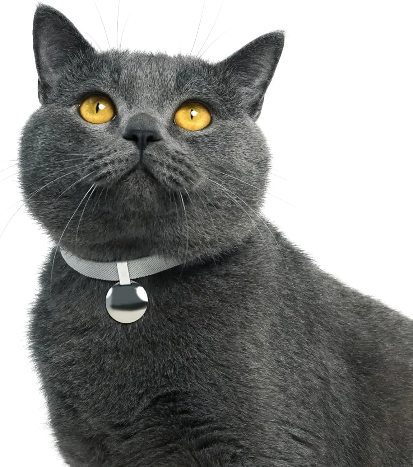 Safety Cat Collar - Gem Tag Set with Quick Release, Non Breakaway, Elastic, Light Weight Cat Collar with Charm (Monet Purple)