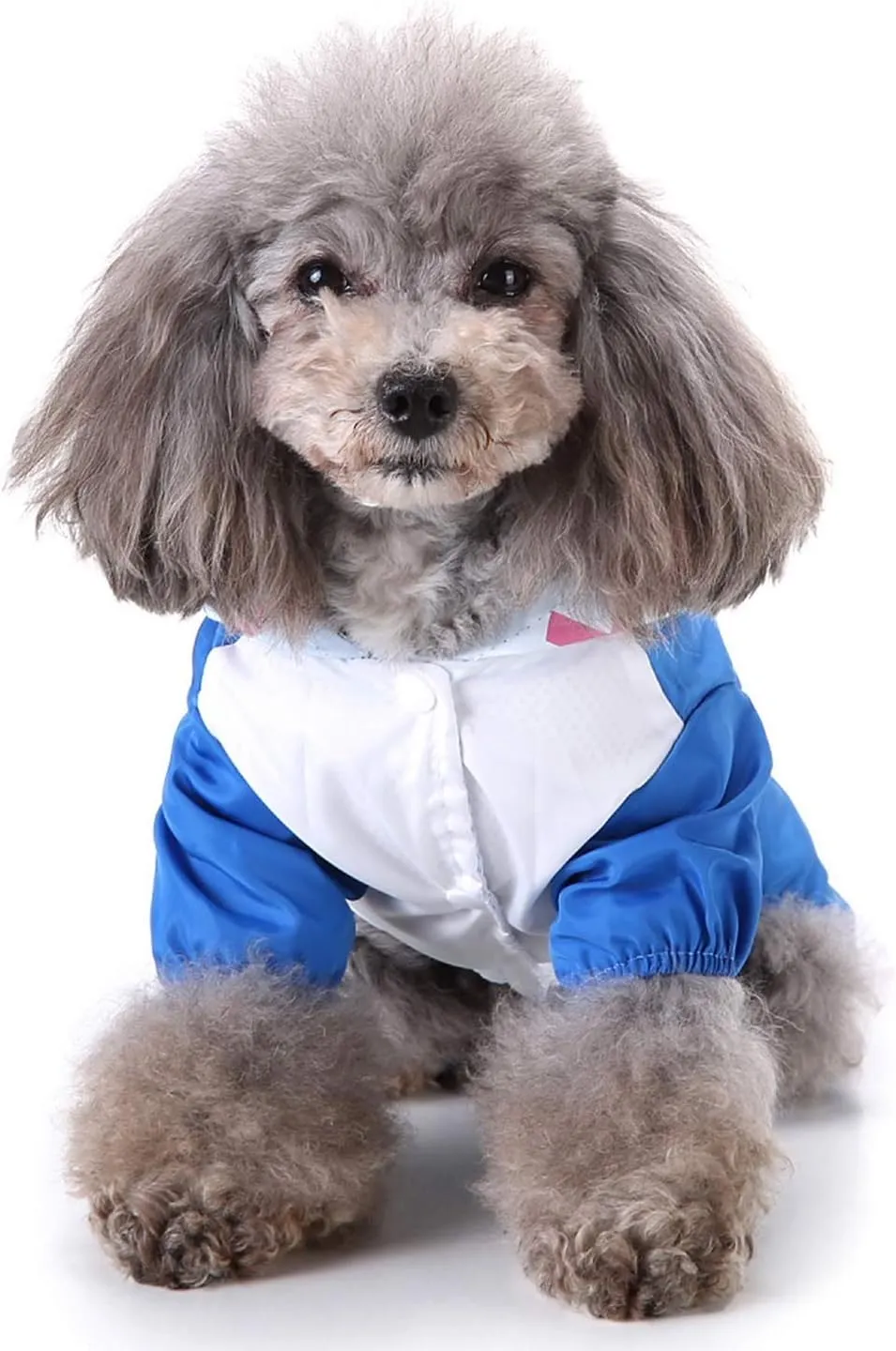SELMAI Dog Raincoat with Hoodies Soft Mesh Elastic Band Four Legs Jumpsuit Outfits for Puppy Pet Cat Apparel Waterproof Rain Jacket Lightweight Outdoor Summer Rain Days Cold Weather Proof Blue XS