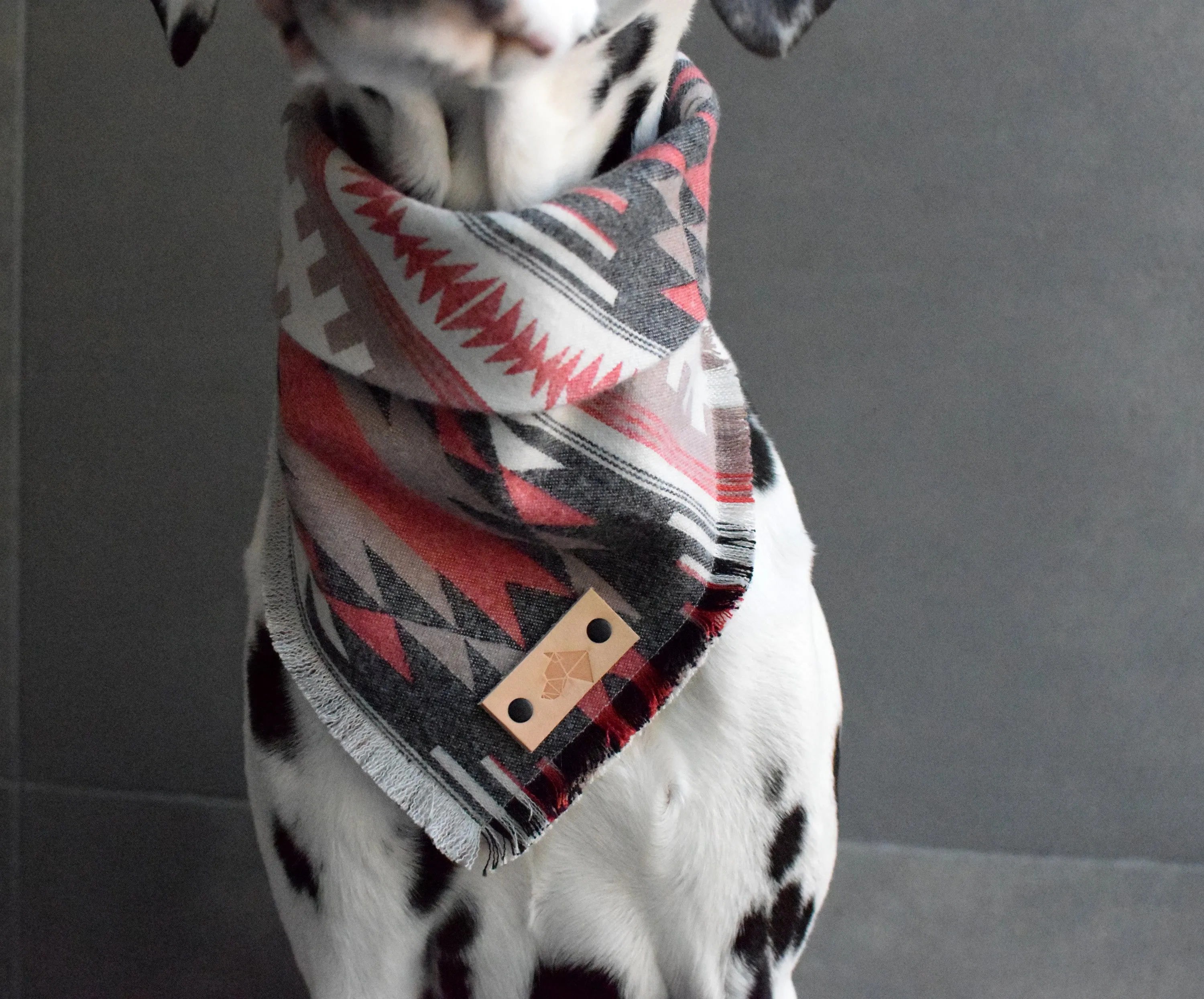 SHALE Luxe Fringed Flannel Dog Bandana - Snap/Tie On Cotton Scarf