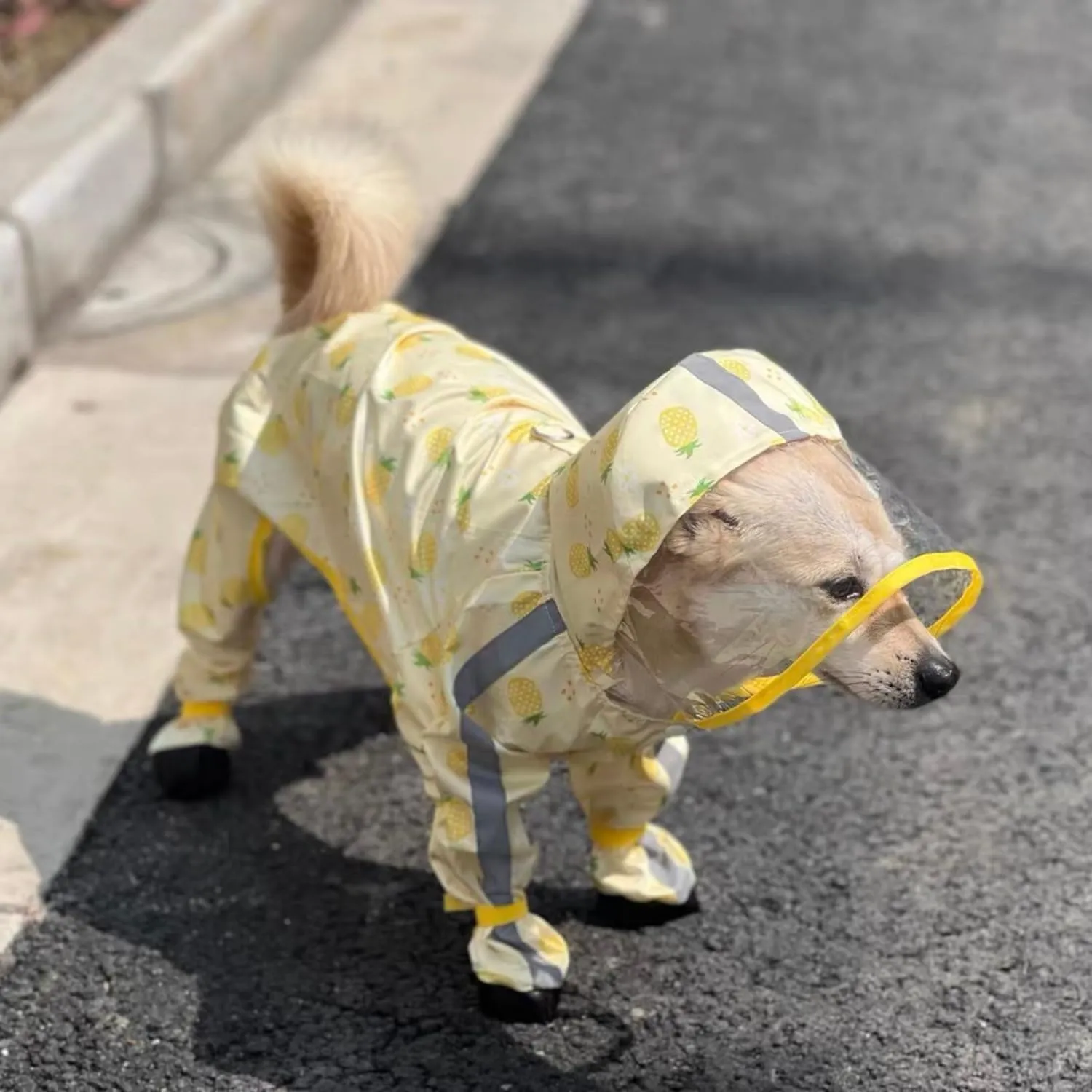 Small Dog Raincoat, Tail Protect Feet Cover Waterproof Dog Rain Jacket Dog Rain Coat for Puppy Small Dogs(Pineapple,L)