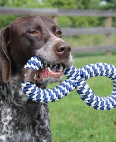 Tall Tails Navy Braided Infinity Toy