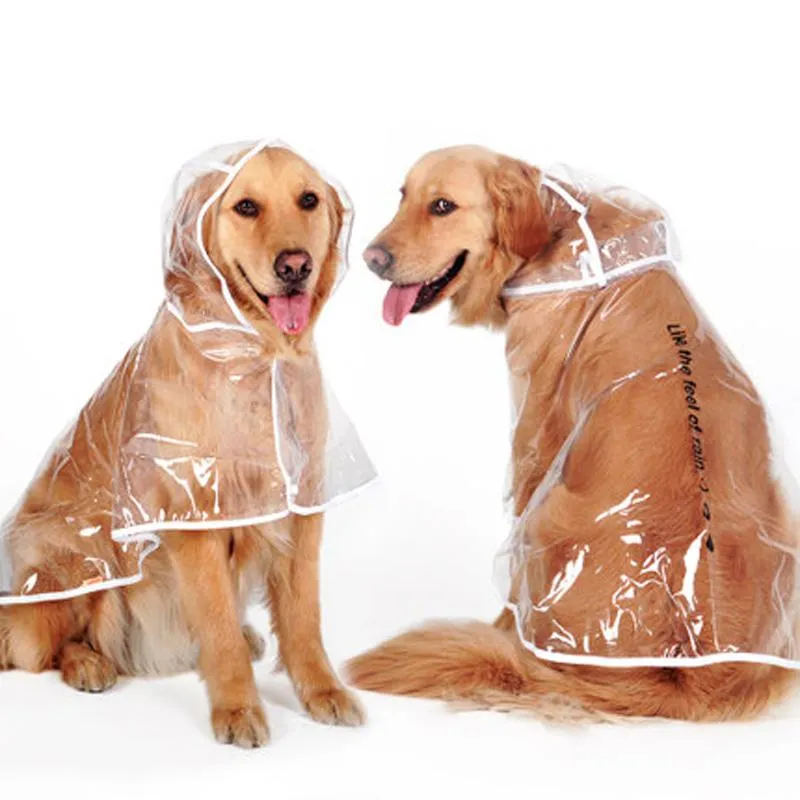 Transparent Raincoat For Large Dogs