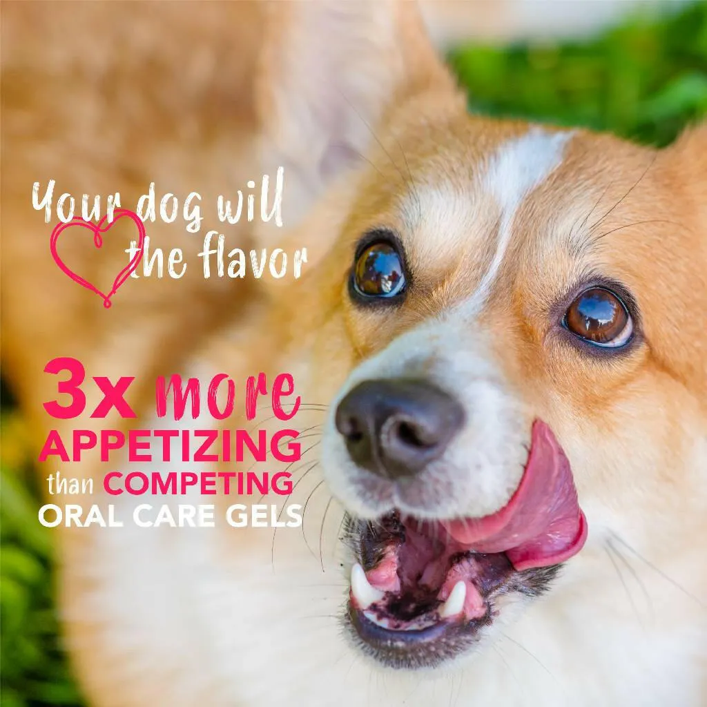 TropiClean Enticers Dental Cleaning Gel Peanut Butter Honey Dog (2 oz)
