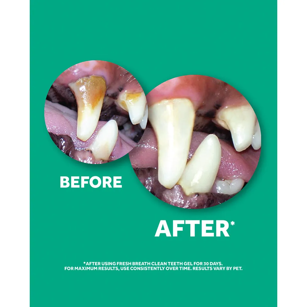 TropiClean Fresh Breath Clean Teeth Gel for Dogs