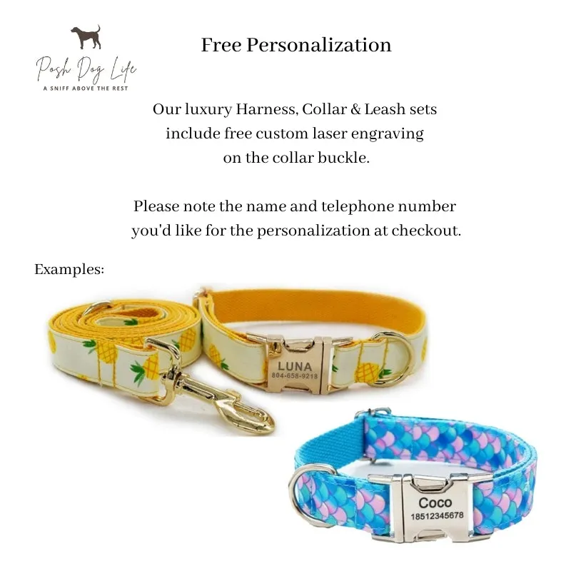 Watermelon Dog Harness, Collar & Leash Set  | Personalized Free