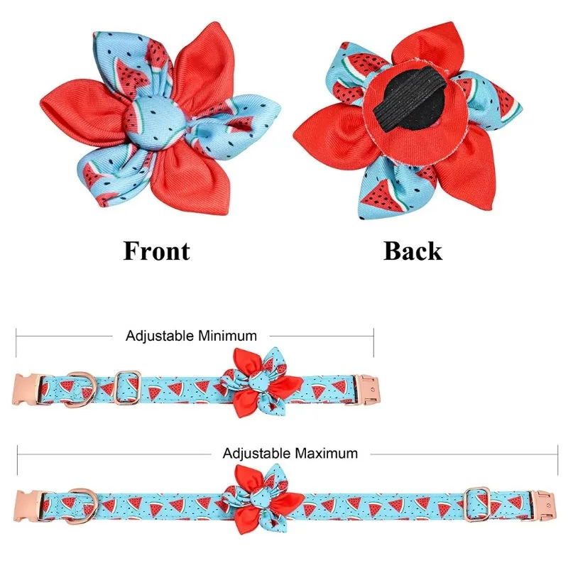 Watermelon Dog Harness, Collar & Leash Set  | Personalized Free