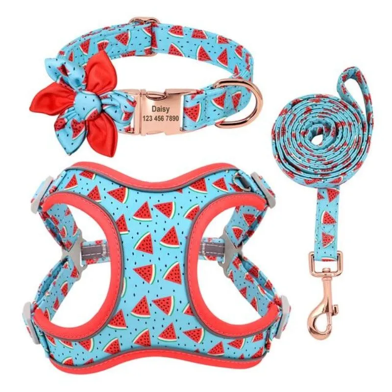 Watermelon Dog Harness, Collar & Leash Set  | Personalized Free