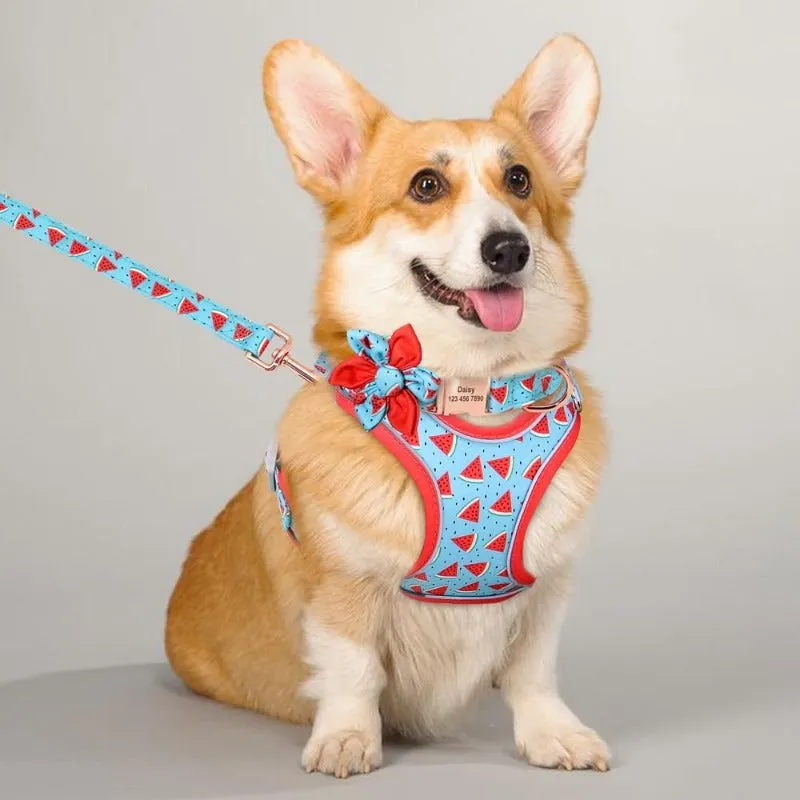 Watermelon Dog Harness, Collar & Leash Set  | Personalized Free