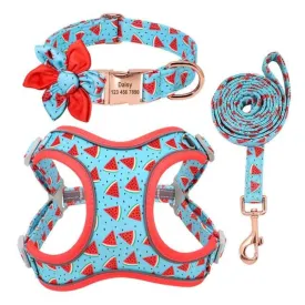 Watermelon Dog Harness, Collar & Leash Set  | Personalized Free