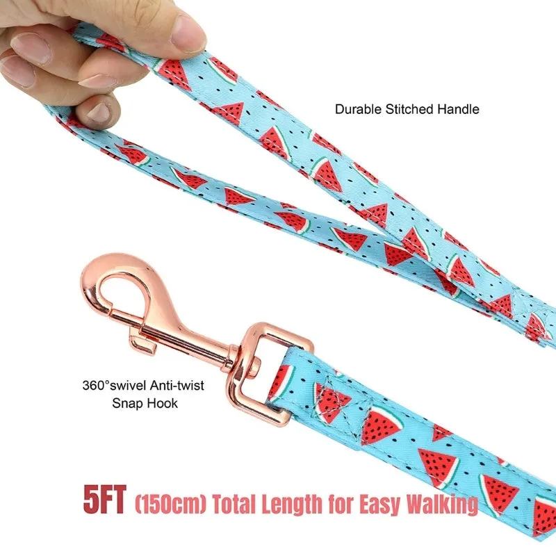 Watermelon Dog Harness, Collar & Leash Set  | Personalized Free